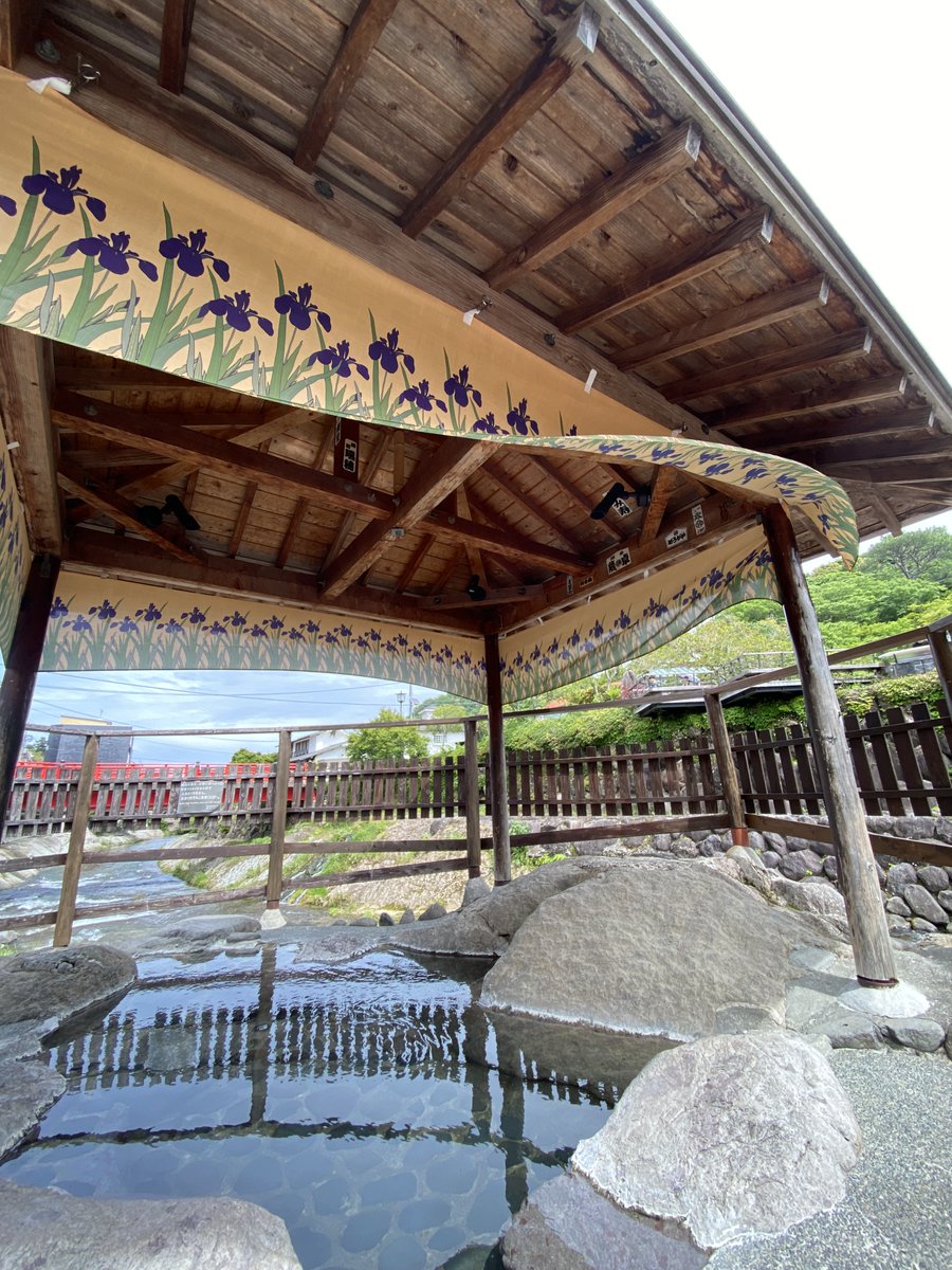 shuzenjionsen's tweet photo. 新緑もまぶしい　風香る5月

独鈷の湯の幕を
「花しょうぶ」へかけかえました https://t.co/T9Am3sFQ2S