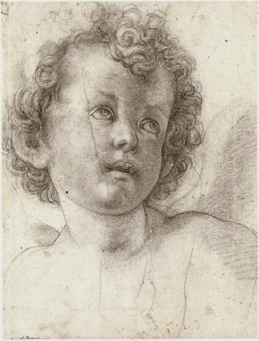 Bronzino, Testa di bambino dai capelli ricci, 1527 ca. Disegno a carboncino su carta, 32.1x24.6 cm. Dresda, Kupferstich-Kabinett, Staatliche Kunstsammlungen.