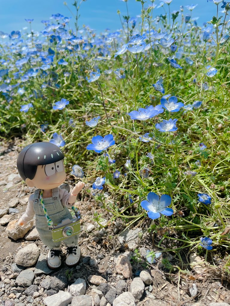 抹茶🍃 (@maccya000) / Posts / X