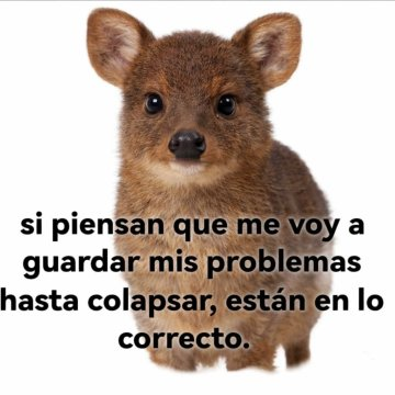 Pensamientos (@frasesimple) on Twitter photo 