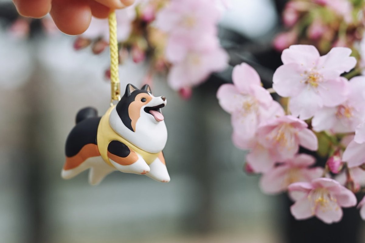 手作り額付き作品　title「静かなるドンわんこ」 カプセルトイ「もっちりフライングわんこストラップ」は本日発売です🐶🌿
