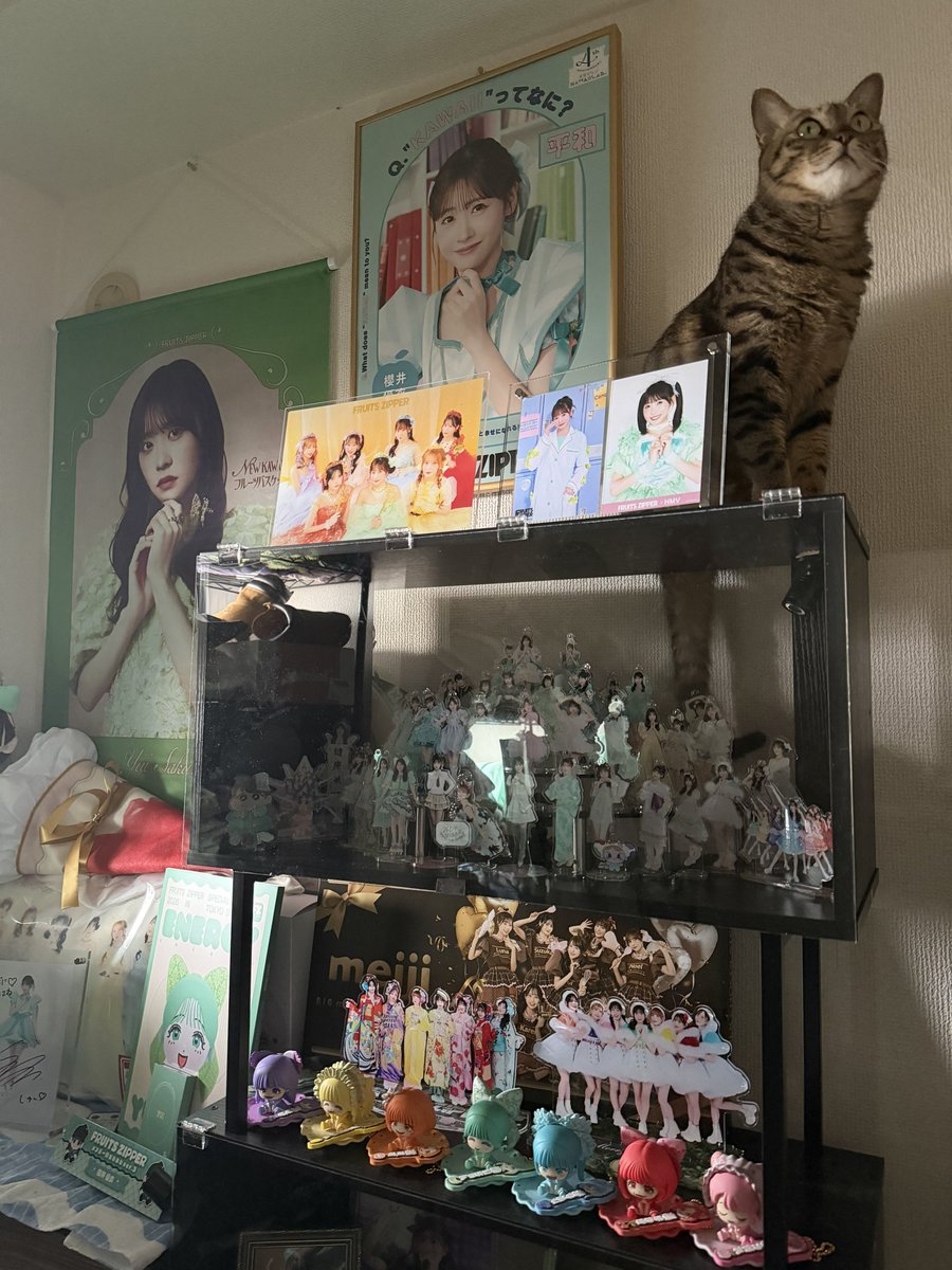 🐈様そこだけは、、 ご勘弁を、、
