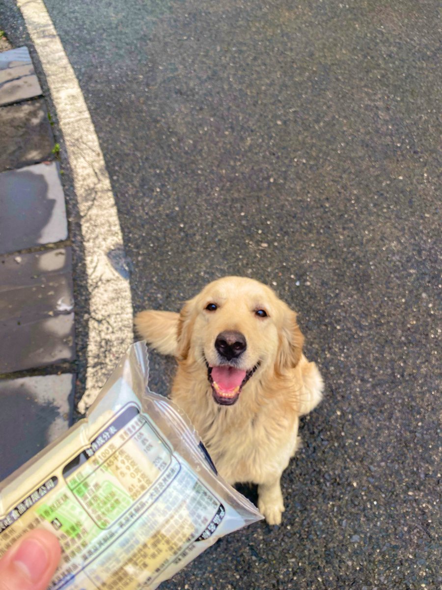 TG0771's tweet photo. 贪吃小🐶 https://t.co/IscK14n98a