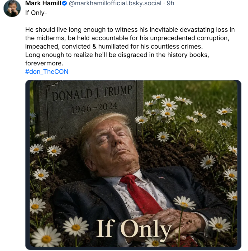 Jules31415's tweet image. Mark Hamill posted an image on Bluesky appearing to show a dec*ased President Trump with the words 'If Only' overlaid.

The post came less than two weeks after the THIRD assassination attempt on 47.

I hope the @FBI is looking into this.

Pure evil.