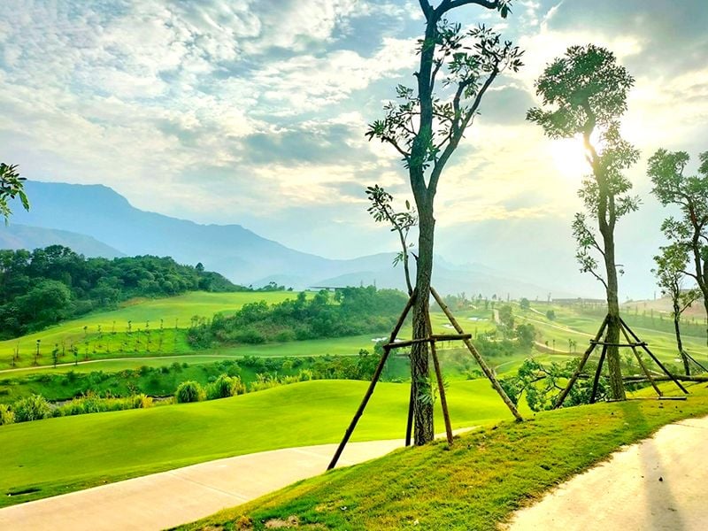 govigolf's tweet photo. ☀️ BEAT THE SUMMER HEAT AT SAPA GRAND GOLF COURSE ⛳ 
🎁 Get 1 FREE glass of refreshing iced black bean sweet soup to recharge your energy when booking an 18-hole round this May! 
👉 Book your Tee Time now to enjoy this sweet treat! ✨ 
#GOVIGO #SapaGrandGolfCourse #MayGolfOffer https://t.co/gsUgxjuONt