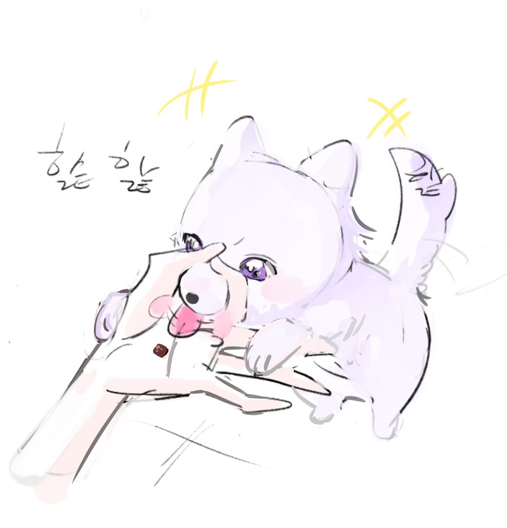 퓨키/puki💝 tweet media