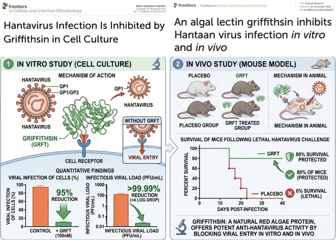 Commentary | Global Ivermectin Research Hub tweet media