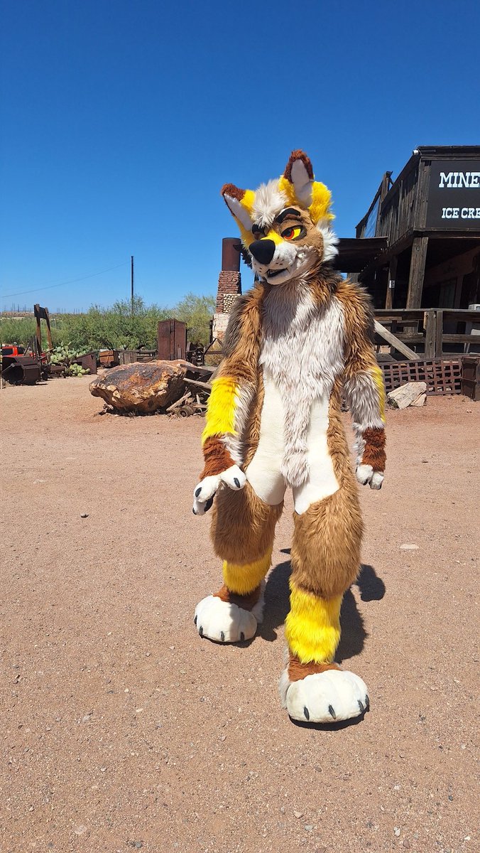 Mustard Yapper 🛩️ FWA / BFC tweet media