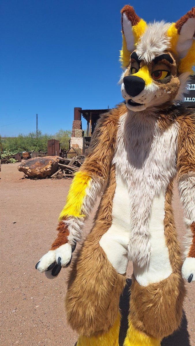 Mustard Yapper 🛩️ FWA / BFC tweet media