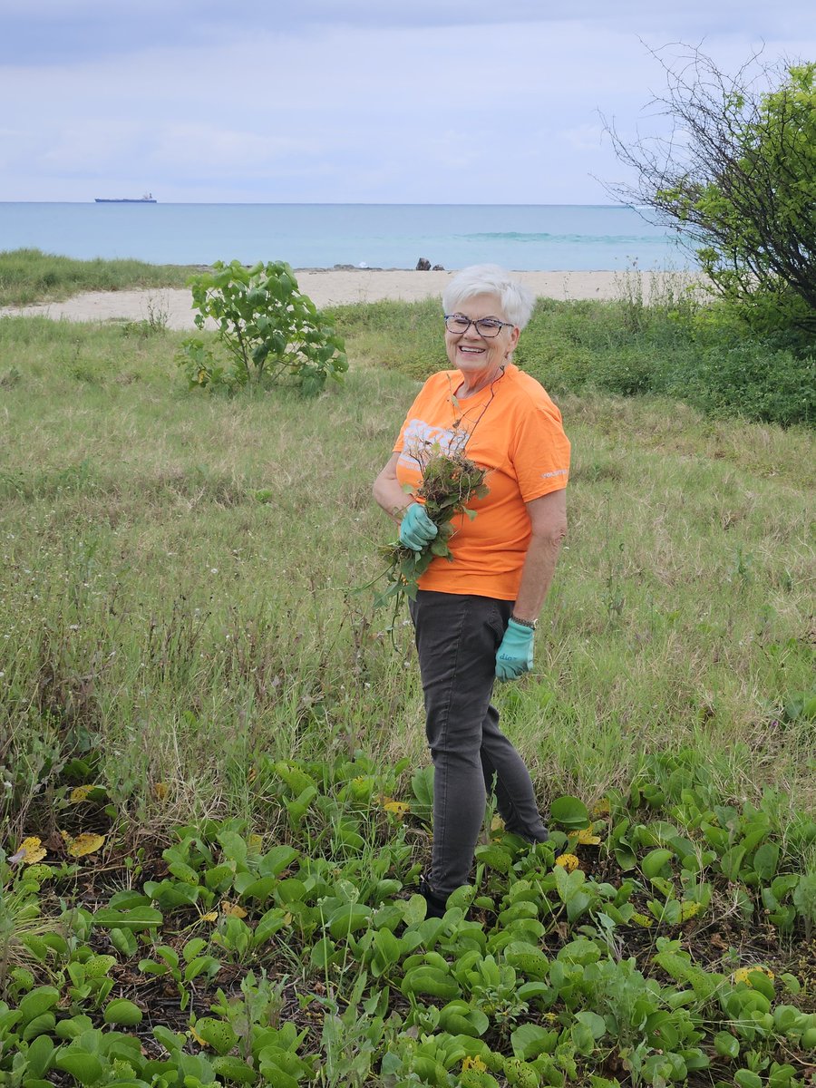 808cleanups tweet media