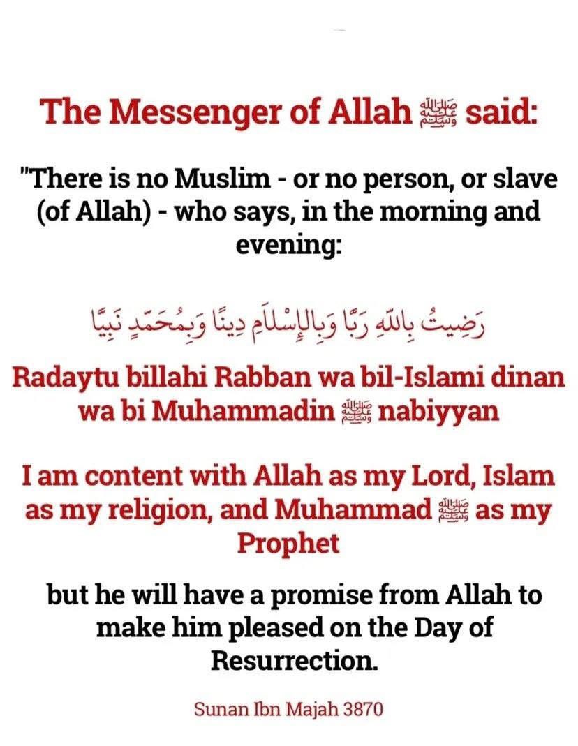 Dua_hub tweet media