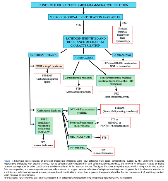 AliSMV7's tweet photo. Overview of novel cefepime-based β-lactam/β-lactamase inhibitor combinations

https://t.co/QlJyOdY4W9 https://t.co/2Fwq4dFqf1
