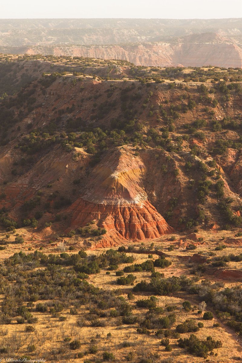 PurdueToobah's tweet photo. Texas is Beautiful 🤠

Each shot was captured in a different part of this massive state.

Big Bend National Park
Palo Duro Canyon 
The Margaret Hunt Hill Bridge - Dallas
South Padre Island https://t.co/Jy9QOvGbxN