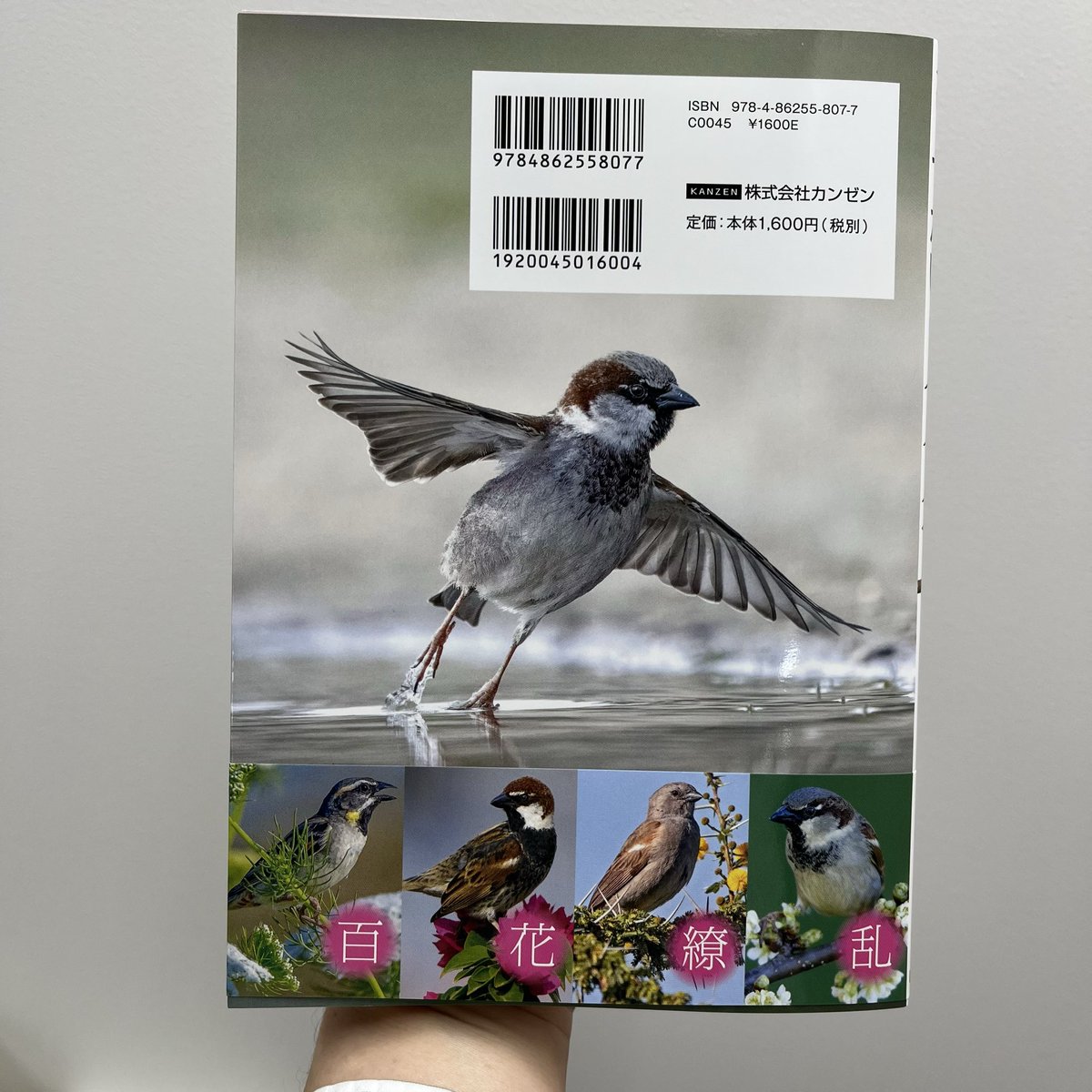 本日発売】 5月刊です🕊️ 『せかいのスズメ』（監修 小宮輝之、写真