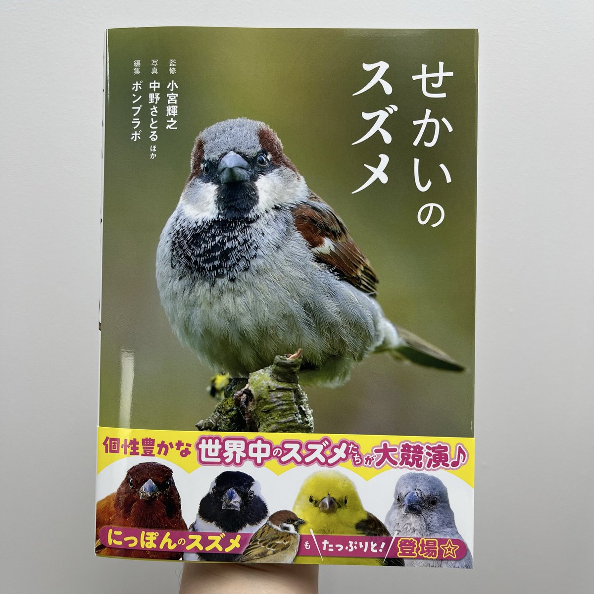 本日発売】 5月刊です🕊️ 『せかいのスズメ』（監修 小宮輝之、写真