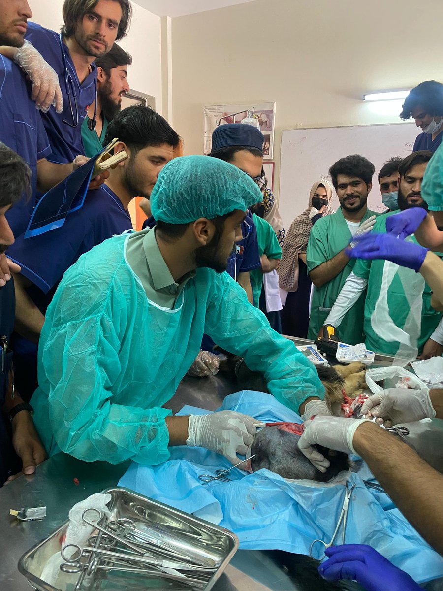 Muhammad676268's tweet photo. Femur bone fracture
Interamedullary pinning of femur bone
#veterinaria #doctorkorno #شہید_شیخ_ادریس_رح https://t.co/zZdAyt2uAz