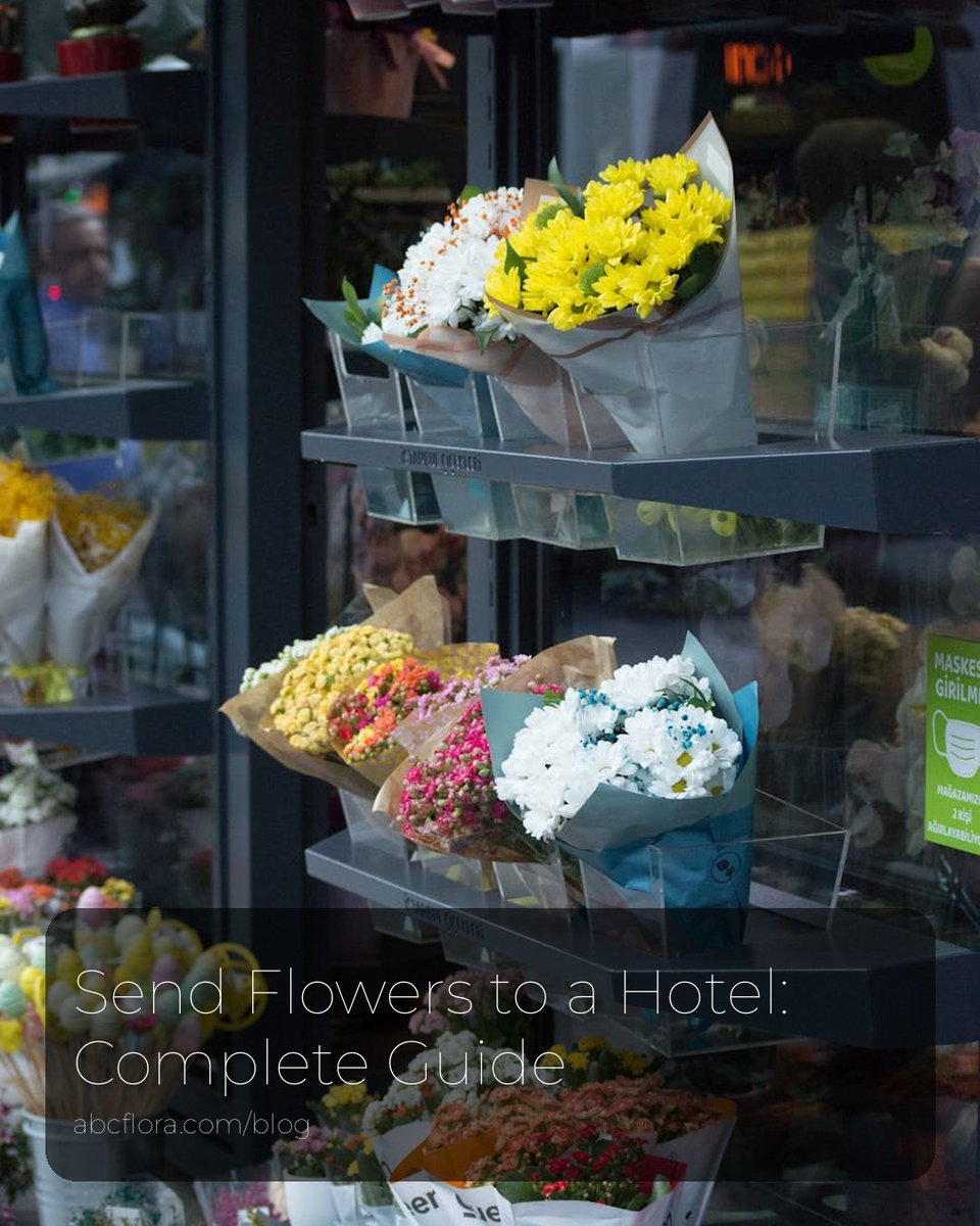 abcfloraOK's tweet photo. Sending flowers to a hotel? Make it unforgettable! Discover all the tips in our latest blog 🌷🏨. https://t.co/wSoS1WXnZO #FlowerDelivery #HotelSurprise https://t.co/f6975ypRmK