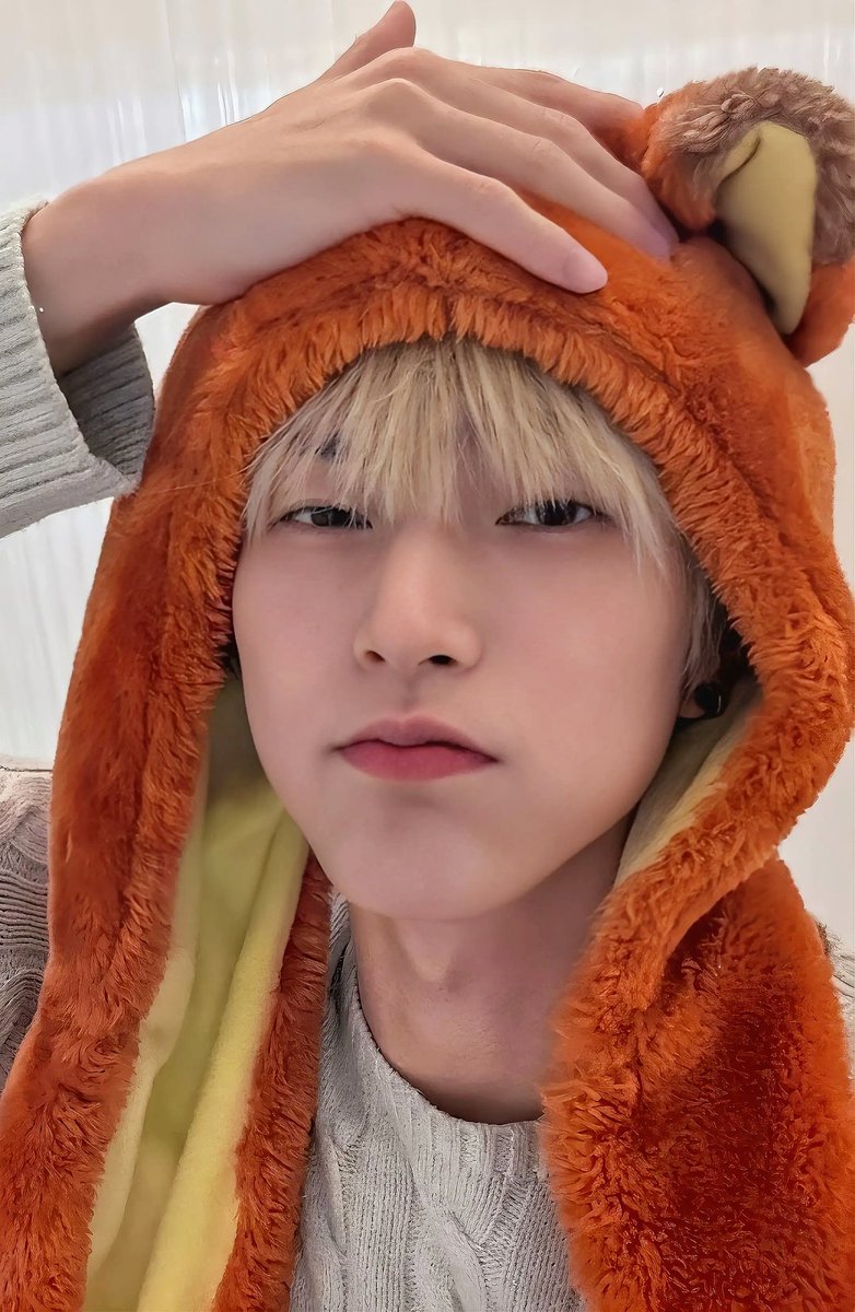 ᥊ⅈꪖ ^᪲᪲᪲ tweet media