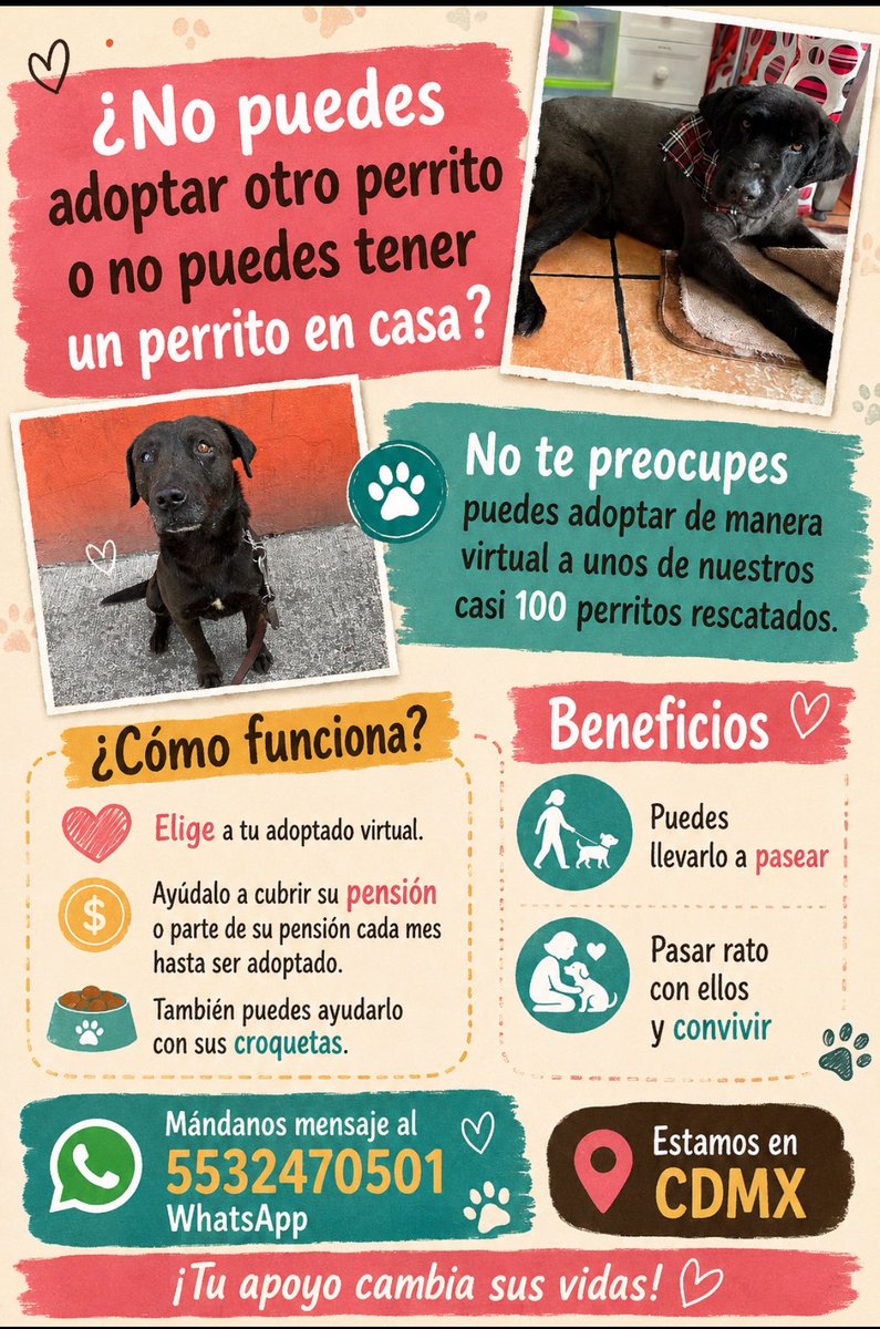 Como ya no sabemos que más hacer para cubrir tantas pensiones,ahora vamos intentar esto.

Adopta de manera virtual a uno de nuestros rescatados,los gastos que más nos está costando cubrir mes a mes son las croquetas y pensiones,no es lo mismo cubrir una sola mensualidad a tener