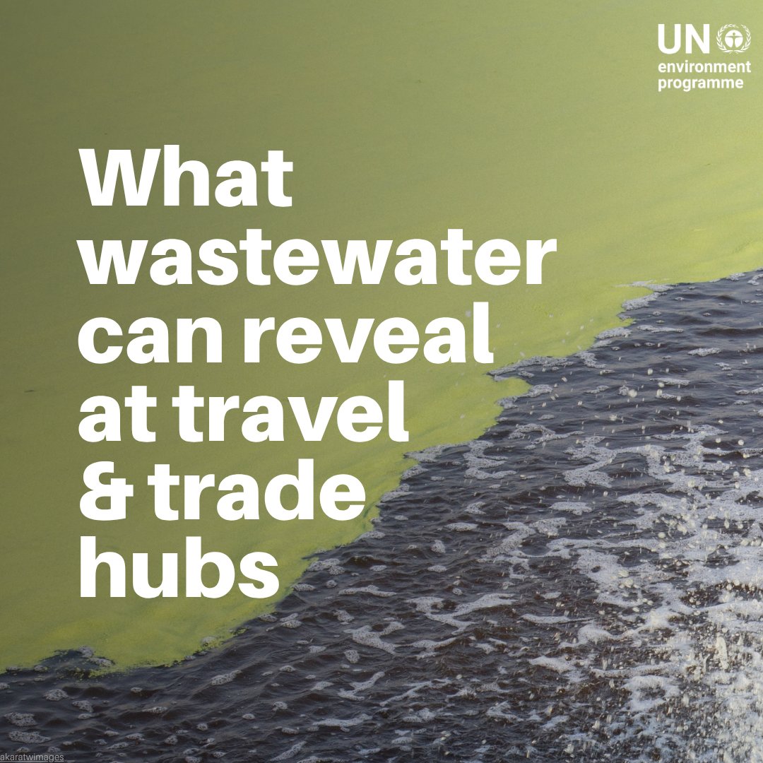 UN Environment Programme tweet media