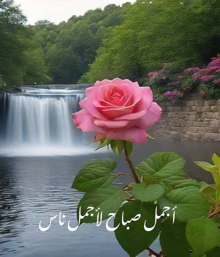 HaythamNaem4's tweet photo. https://t.co/hMwRj1Ol1h