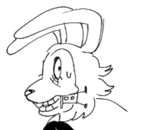 pit ---𓏲𝄢.𖥔🐇𓂃.☘︎ ݁˖ tweet media