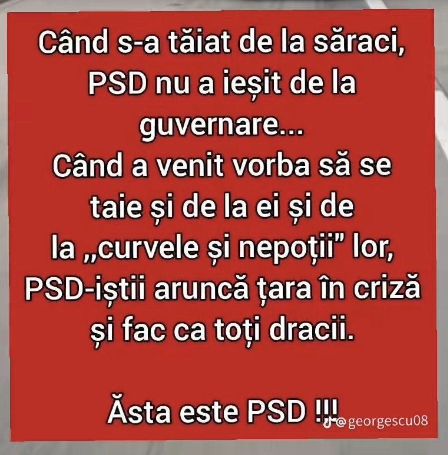 Mihail Feciorescu tweet media