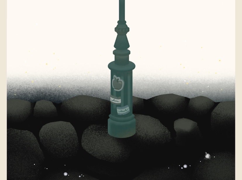 ( ´ ᴥ` ) tweet media