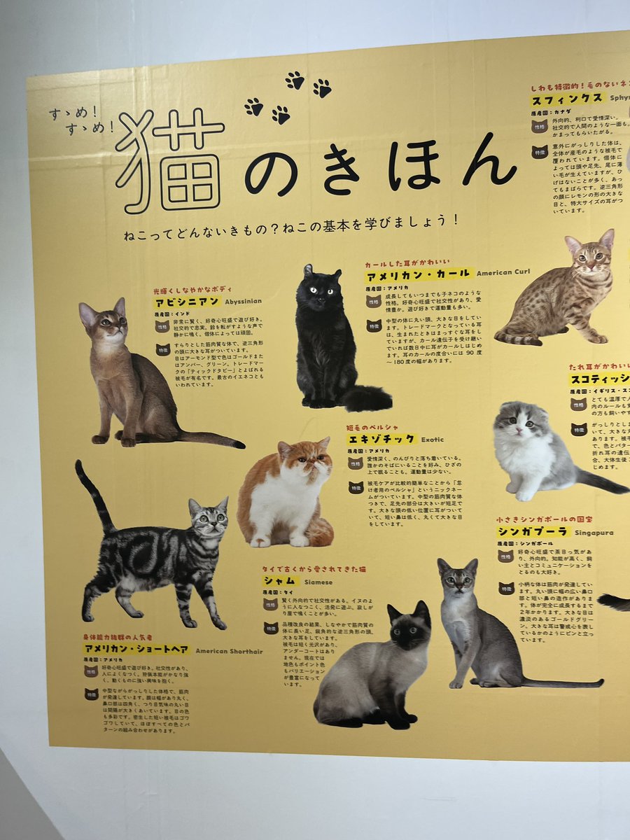 ピエール陽 tweet media
