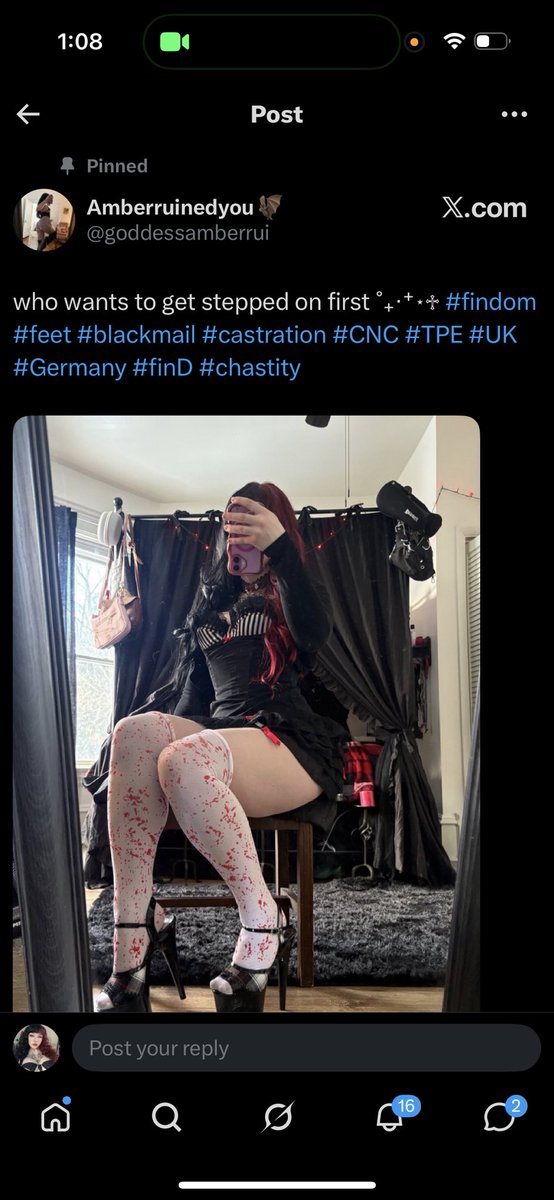 amber 🦇 tweet media