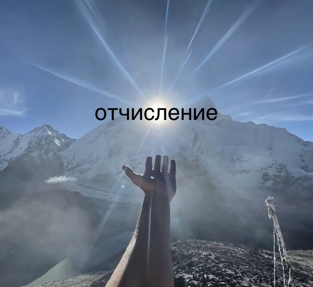ну Леша давай tweet media