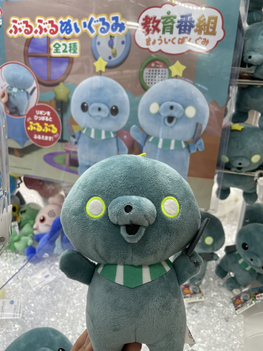 ✨ふぇすたらんど菊陽店 最新情報✨ 『教育番組 ぷるぷるぬいぐるみ