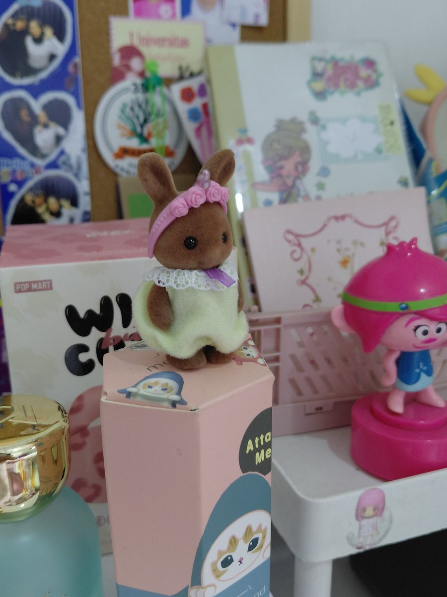 bchanmli's tweet photo. 💌 happy mail 
my first sylvaniann (adek gemas) https://t.co/AKhcD1e5ub