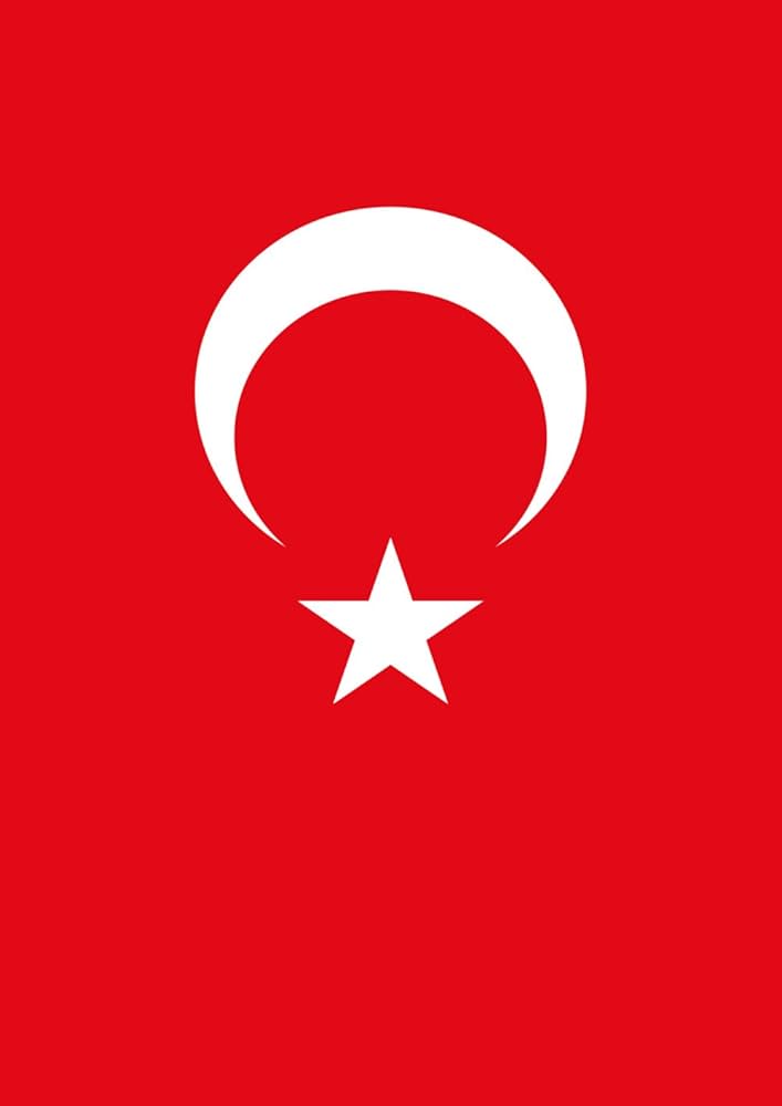 feratakblt's tweet photo. Bayrağımızı indirmeye gücünüz yetmez
#ODTÜ #TÜRKBAYRAĞI https://t.co/hPMWj5RP6e