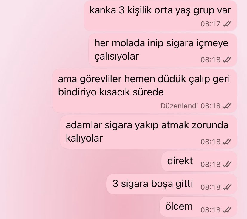 safiye tweet media