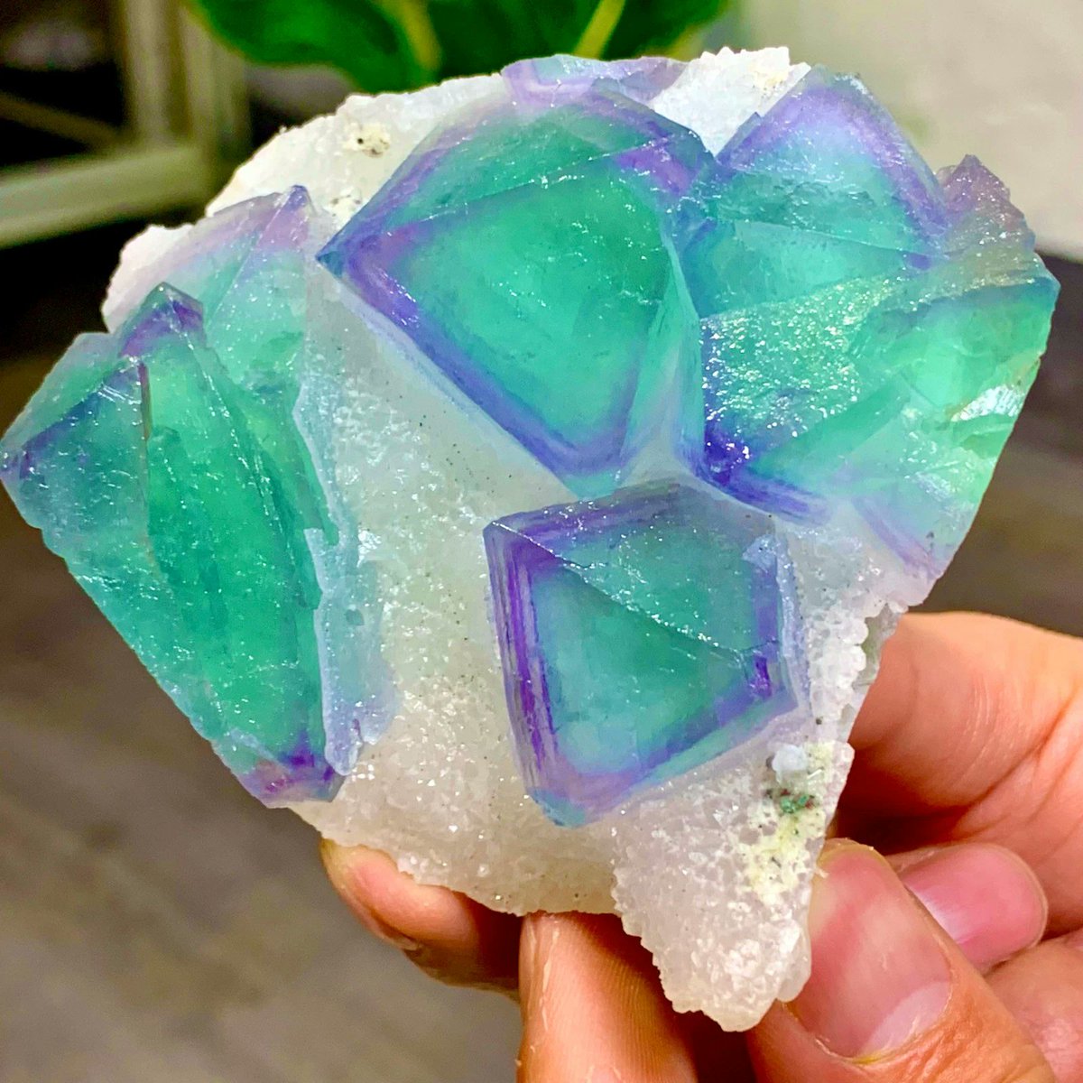 Supernova Crystal (@Supernova223) / Posts / X
