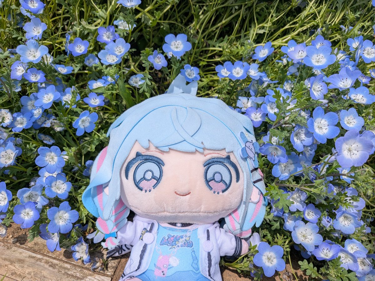 こうちゃん Post by こうちゃん💬🔁💙 on X: 着!!