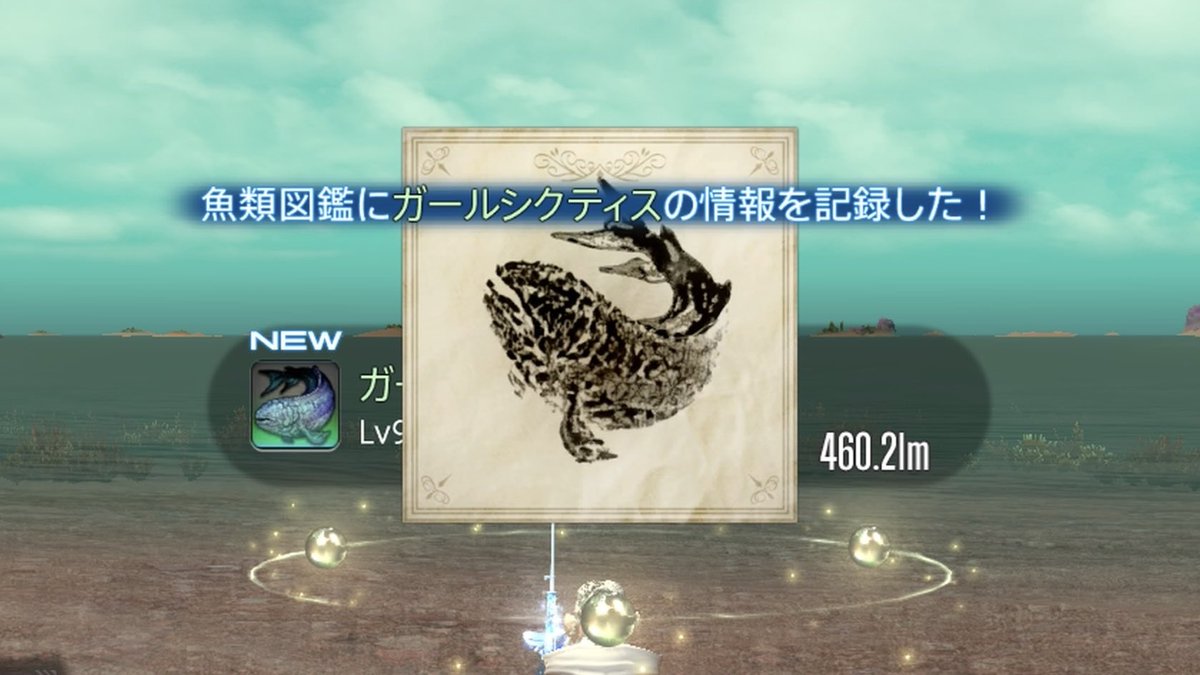 あーちん🪼 tweet media