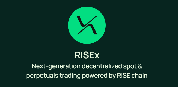 I recently started using <a href="/risextrade/">RISEx</a> .

It is very early early and the points program isn't even out yet.
We can be pretty sure we will get retro-active points when they drop.

Liquidity is very low atm and there are not many pairs, so I am trading only majors.
They already