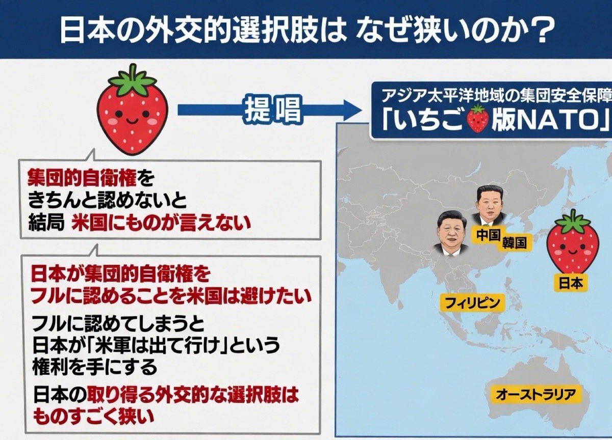 Freud_tokyo's tweet photo. @machida19650218 いちご🍓さんには、このいちご版NATOの構想の解説もお願いしたいです。 https://t.co/VZUIw2GmrJ