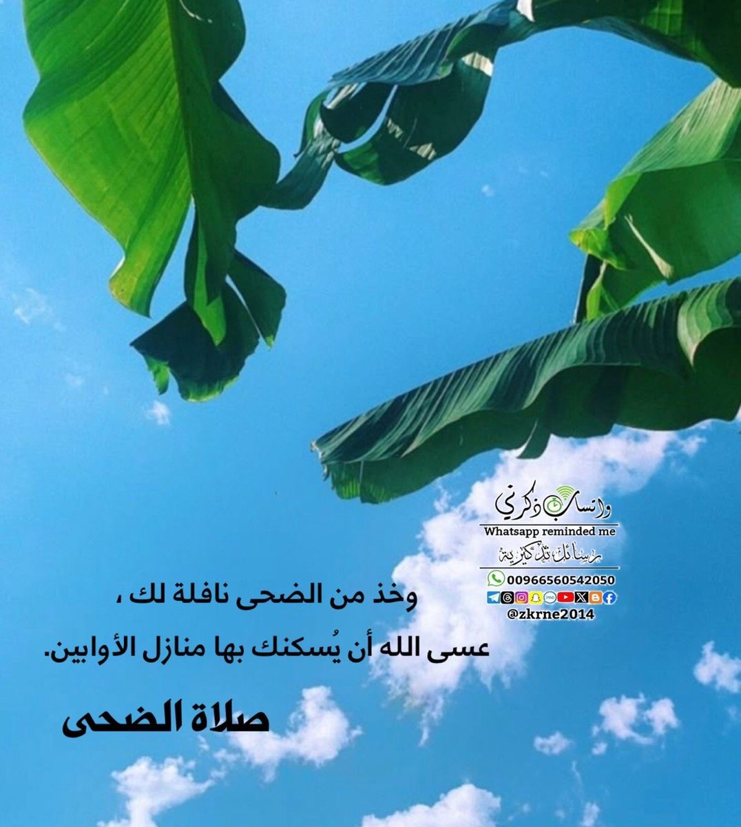••
`" صلاة الضحى "`

*•  تعادل 360 صدقة ، وهى صلاة الاوابين*

*•  قال رسول الله صلى الله عليه وسلم :*
*`" لا يحافظ على صلاه الضحى الا اواب "`*

> `- ضحاڪم يا اوابين -`