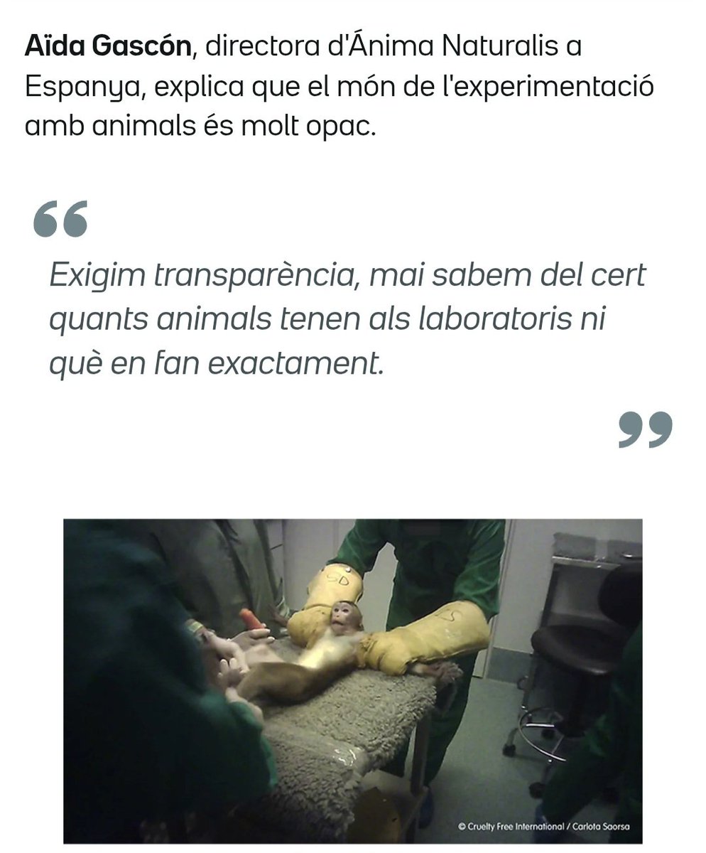 Aïda Gascón tweet media