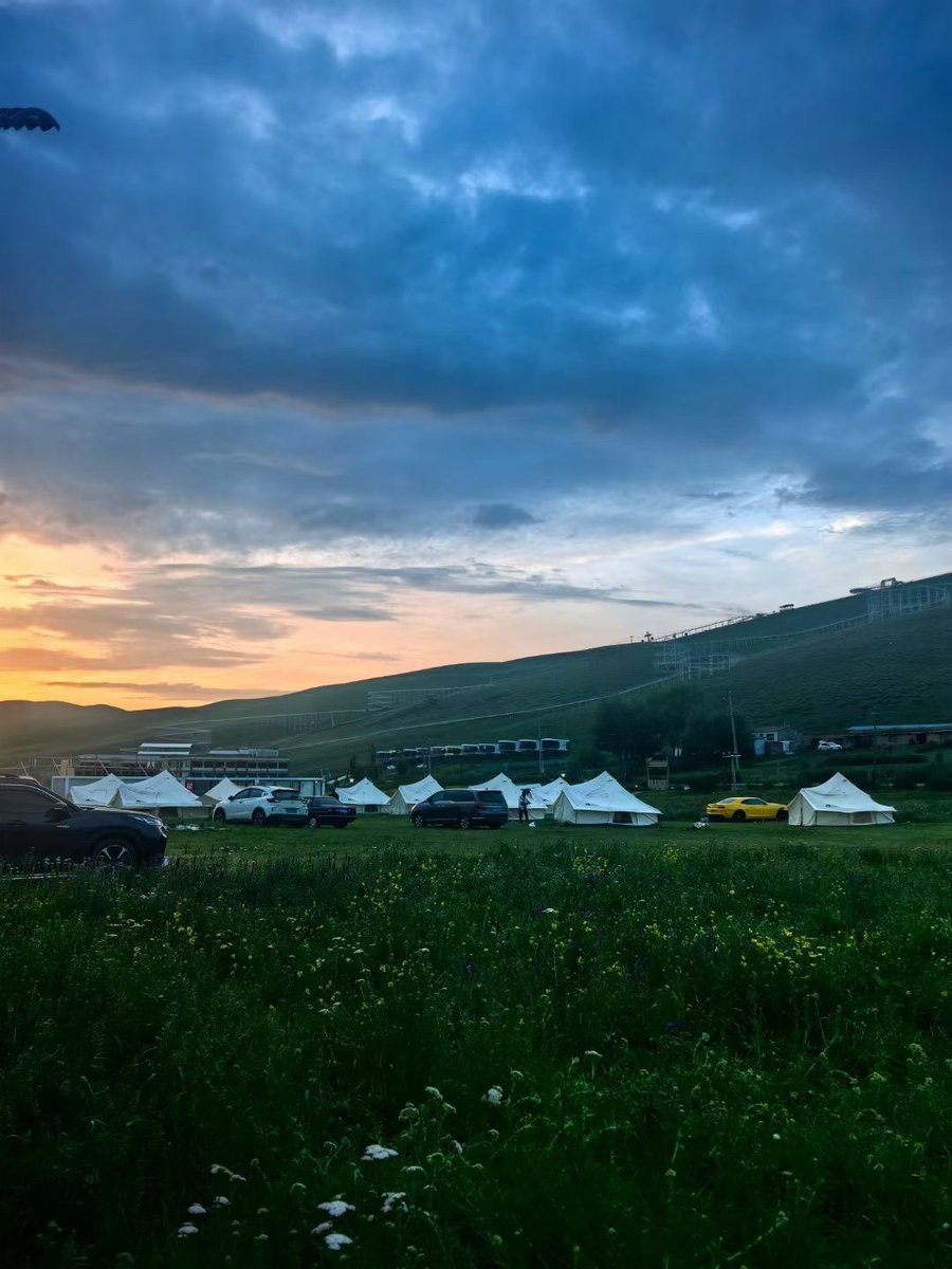 DaveCingari's tweet photo. Woke up to birds + fresh pine air → pitched tent by the lake, roasted marshmallows till dark, and stargazed without city lights. Pure magic. #CampingVibes #NatureFix https://t.co/x3vbHXplHv