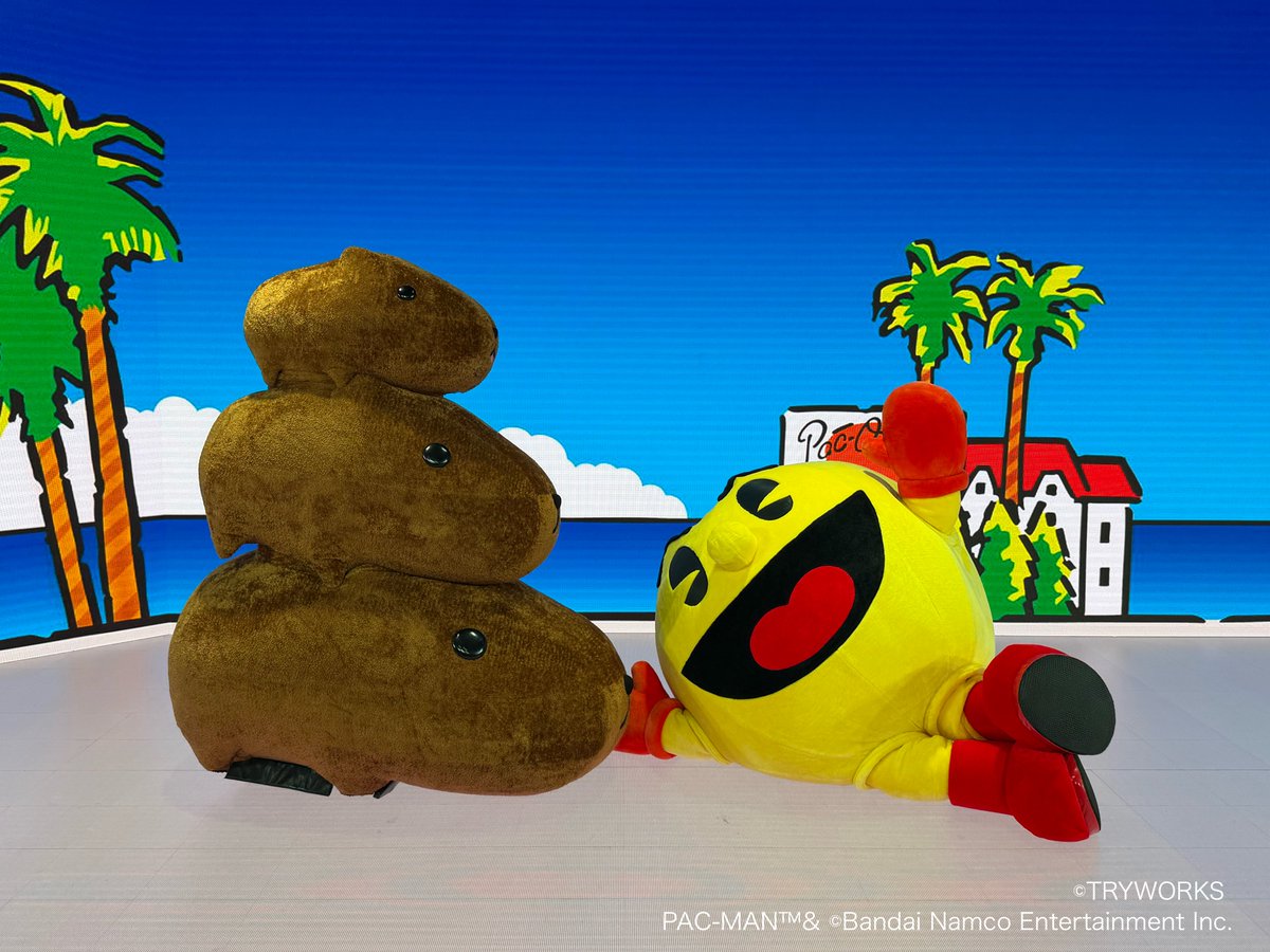 カピバラさん カピバラさん