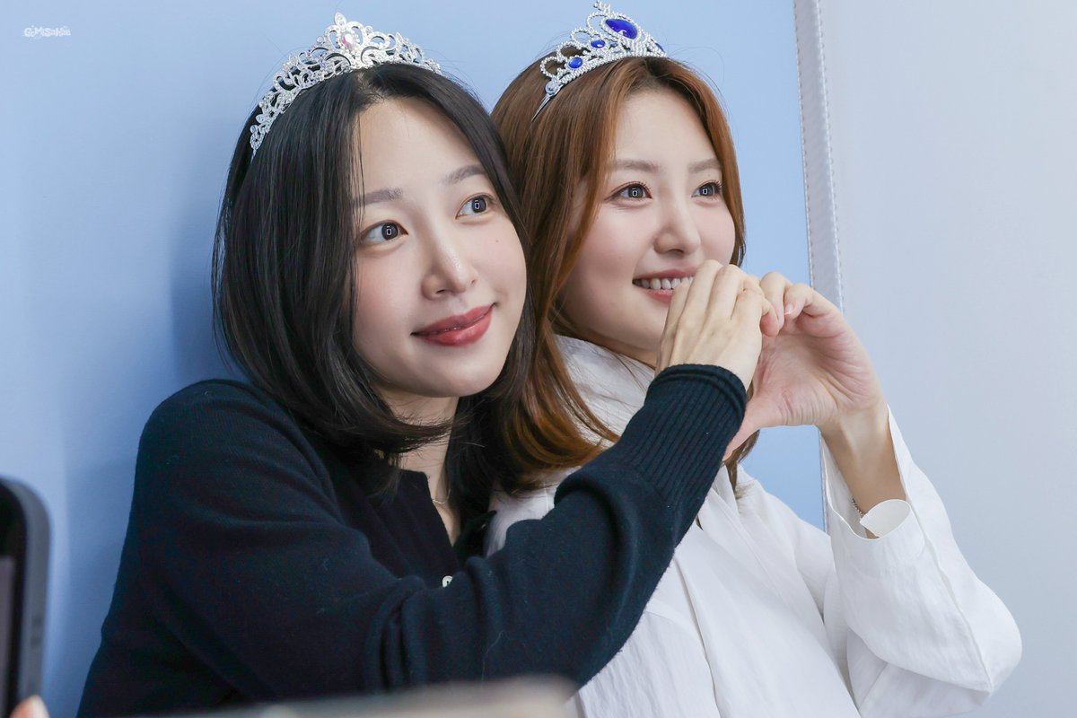 고미사해 tweet media