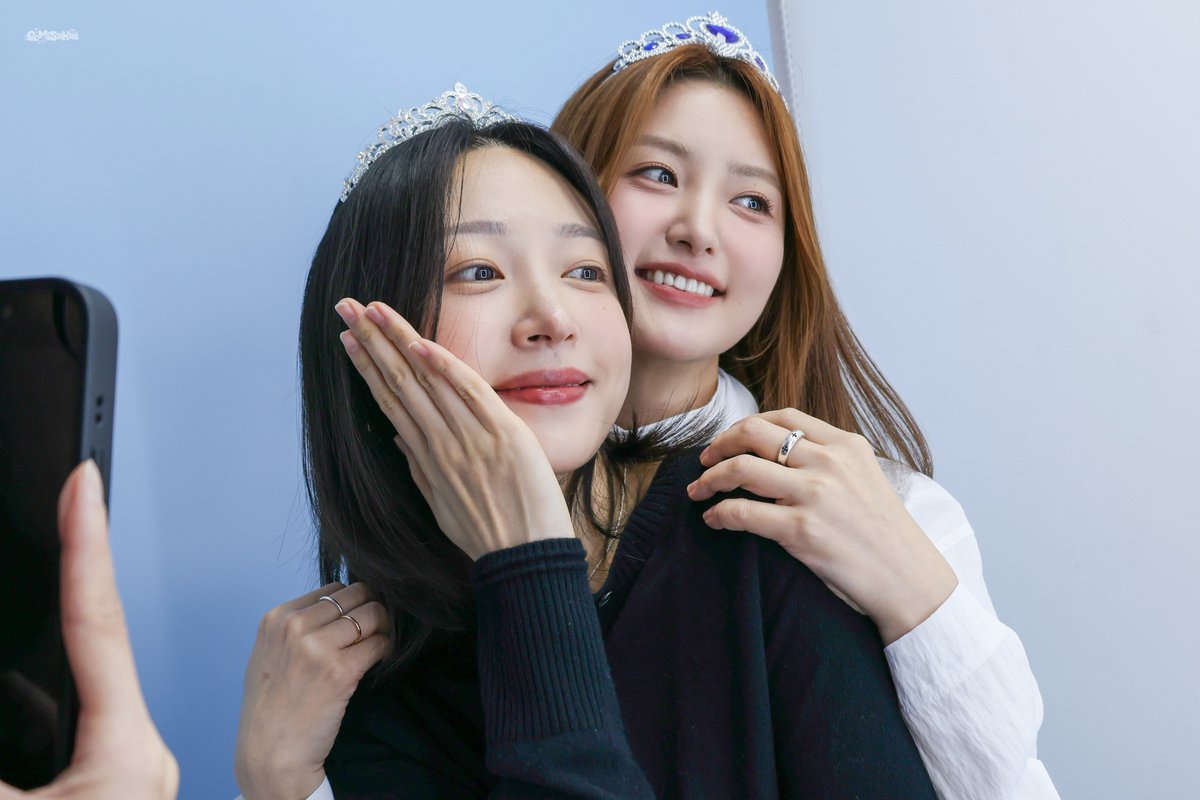 고미사해 tweet media