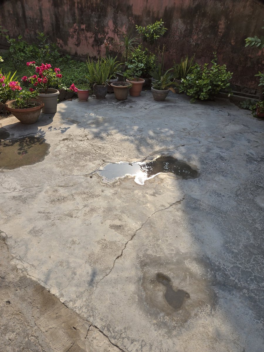 MinuVerma008's tweet photo. Sun's Reflection😎in water lying on the floor..little bit under the shadow of a guava 🌳😀

#NaturalScene
#ClickForFun https://t.co/v3RHosd13F