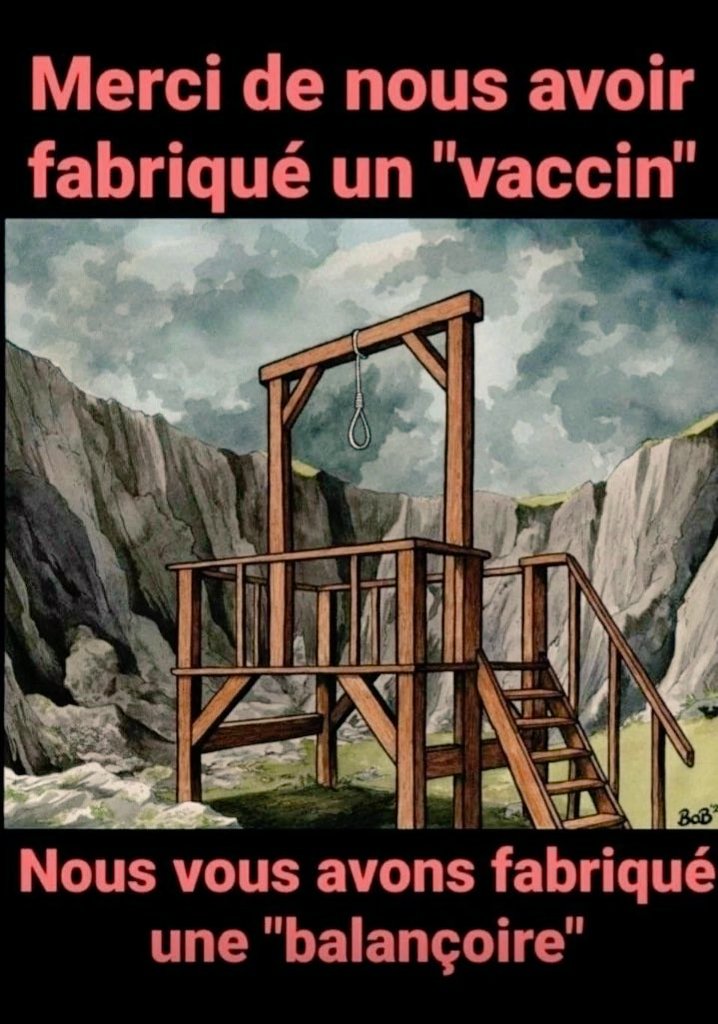 Chacha Pimprenelle 🐞 tweet media