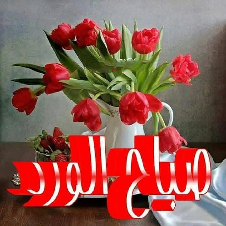 Um_Sulieman's tweet photo. اتركها تأتي كما كتبها الله لك .. لعلها تأتي كما يحبها قلبك ... وﻻ تخنق أنفاس الصباح بهموم الأمس ... تفاءل وابتسم 
اللهم بك أصبحنا وعليك توكلنا....
#صباح_الخير https://t.co/DupjsoF50C