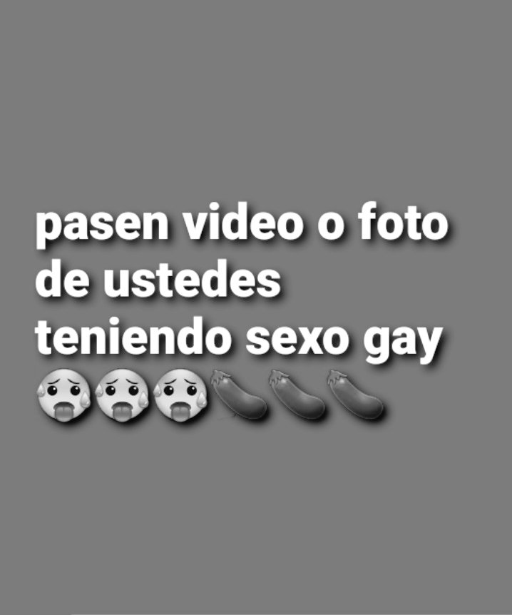 🪽 tweet media